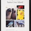 Help Preserve Santa Cruz Island