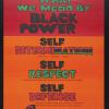 What We Mean By Black Power
