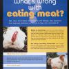 What's Wrong with Eating Meat?