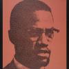 untitled (Malcolm X in halftone)
