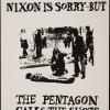 Nixon is sorry - But the Pentagon Calls the Shots