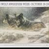 1998 Wolf Awareness Week
