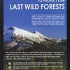 A Pledge To Protect Our Last Wild Forests