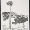 untitled (knight and a palm tree)