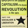 Bush is the Symptom, Capitalism is the Disease