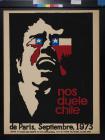 Nos Duele Chile