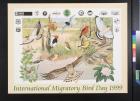 International Migratory Bird Day 1999