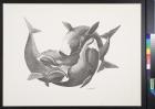 untitled (whales intertwined)