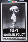 Bush's Domestic Policy