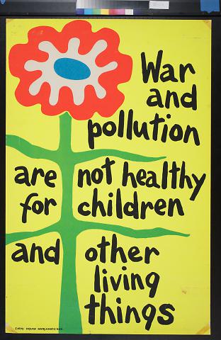War and Pollution