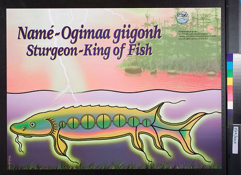 Nam_ - Ogimaa giigonh Sturgeon - King of Fish