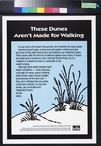 These dunes aren't made for walking