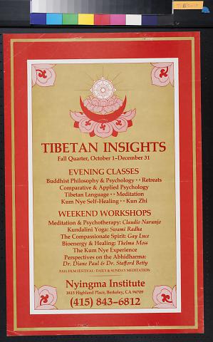 Tibetan Insights