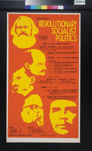 Revolutionary Socialist Politics