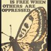 No One is Free when others are oppressed