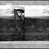 Snow and Timber Line near Laramie, Medicine Bow Mountains