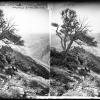 Looking down on Salt Lake Valley from the Wasatch Mountains, from Elevation of 2000 Feet