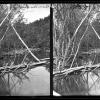 Beaver Dams, Bear River