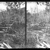 Beaver Dams, Parley's Park in which Beavers still Live