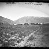 Entrance [to] Weber Canyon, Imperial