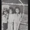 untitled (children behind barbed wire)