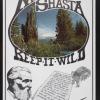 Mount Shasta Keep It Wild