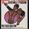 Combat the Promises of Juvenile Prison