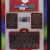 untitled (Woodstock memorial plaques)