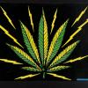 untitled (marijuana leaf)