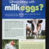 What's Wrong with Milk and Eggs?