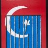 Solidarity With Political Prisoners In Turkey