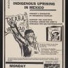 Solidarity demonstration indigenous uprising in Mexico