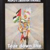 Tear down the Apartheid wall