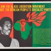 Join The Black Liberation Movement