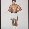 untitled (boxer shot with arrows)