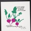 untitled (radishes and a poem)