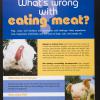 What's wrong with eating meat?