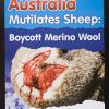 Australia mutilates sheep