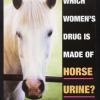 Horse Urine