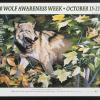 2000 Wolf Awareness Week