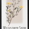 Wildflower Show