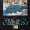 The wilderness underground: Caves of the Ozark PLateau