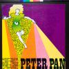 Peter Pan: an original rock fantasy