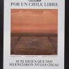 Por Un Chile Libre