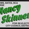 Nancy Skinner for Re-Election