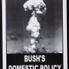 Bush's Domestic Policy