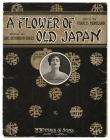 A Flower of Old Japan