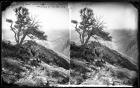 Looking down on Salt Lake Valley from the Wasatch Mountains, from Elevation of 2000 Feet