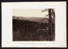 Snow And Timber Line, Laramie Mountains from The Great West Illustrated in a Series of Photographic Views Across the Continent