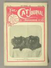 The Cat Journal